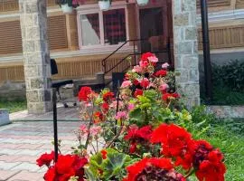 Casa traditionala Subcetate