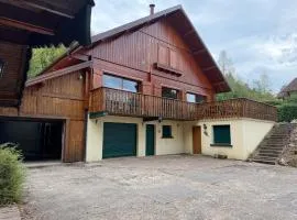 Chalet GERARDMER vue lac 5 min à pied du centre ville jacuzzi jardin