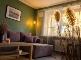 Wolfinn Comfort Apartment Siauliai Center