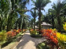 Khao Sok Palm Garden Resort