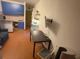 Bibione Landora Nummer 141