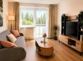 Wohnen auf Zeit - Apartment 5P
