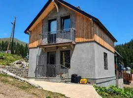 Cozy Mountain Chalet Bakhmaro