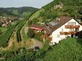 Transylvania House Glottertal