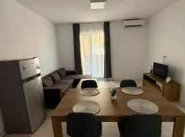 Apartament 3 camere parcare și curte privata parter