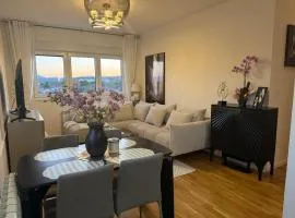 Stan na dan Bor Apartman