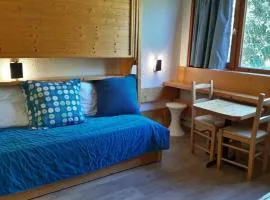 Résidence Nova 1 - Studette 2 personnes pied des pistes MAE-6554