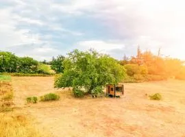 Homnest - L'Art de Vivre - 20 min Carcassonne