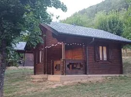 Hotel, Bungalows y Camping Viu