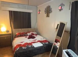 Seaview Studio