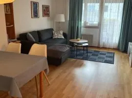 Newly renovated modern 2-room apartment with balcony