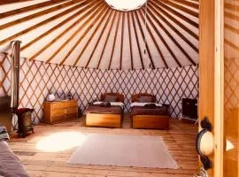 Cosy Nature Yurt Retreat in the Algarve Countryside