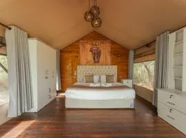 Wilpattu Wilderness Camping