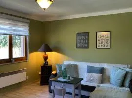 Vydra Apartment in Srní