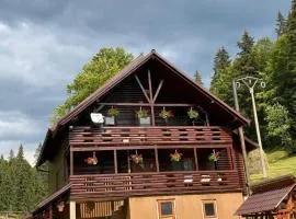 Cabana Sânziana