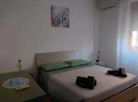 Il Tulipano