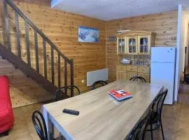 Résidence Gentianes - Duplex 1 chambre sur les pistes départ télésiège des escondus MAE-9721