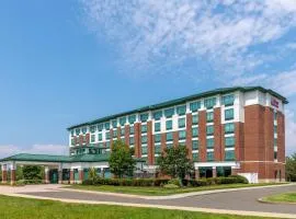 Hilton Garden Inn Hartford South/Glastonbury