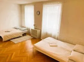 Amazing Flat in heart of Zurich Old Town GlockenB