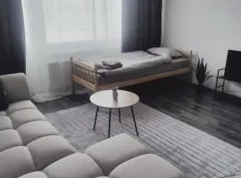 Cozy 1BR Apt in Sotkamo Peaceful Forest Views