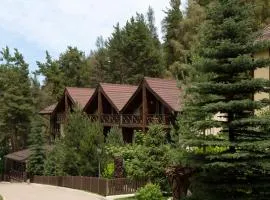 Oi Qaragai Mountain Resort