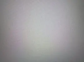 Pilote non