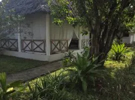 Iraki-villa-66