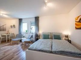 Studio ApartmentTerrace near University campus