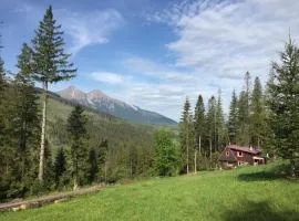 Childhood's Dream Cabin