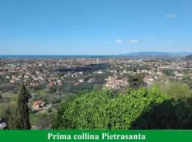Belvedere 10