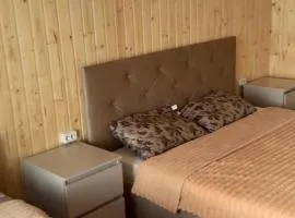 Срібний прилив