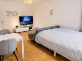 apartment near the city center