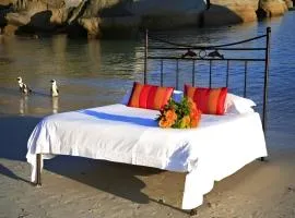 Boulders Beach Hotel, Cafe and Curio shop