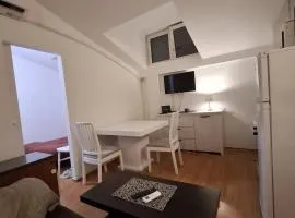 Belgrade Apartment by Mladenovic