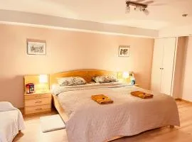 Studio Apartment in Haus Annabelle Tiefparterre ohne Küche