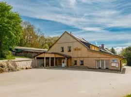 Šumavská Vlčice - Penzion Žleby