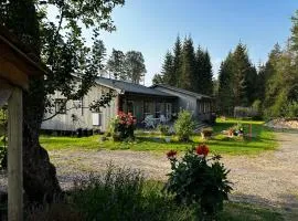 Skogsvillan