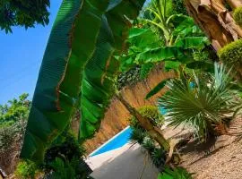 Villa mango