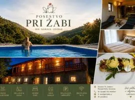 Posestvo Pri žabi
