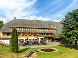 Hotel Zum Löwen - Unteres Wirtshaus, Hotel in Titisee-Neustadt