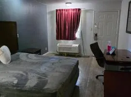 King Bed Hotel Room 201