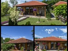 Apartman Dača Banja Ždrelo