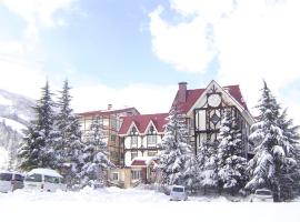 Rosenheim Hakuba – hotel w mieście Hakuba