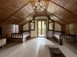 Ananuri Family House
