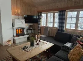 Nostalgic Cabin With 3 Br, Fireplace, And Terrace