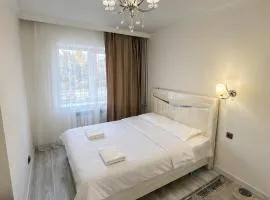 Central Apartment