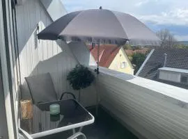 Domus Lux 406