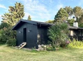 Classic Danish Summer House