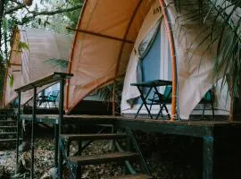 Rừng Cafe & Glamping