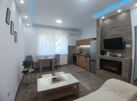 Apartmani Sofronic Loznica 1